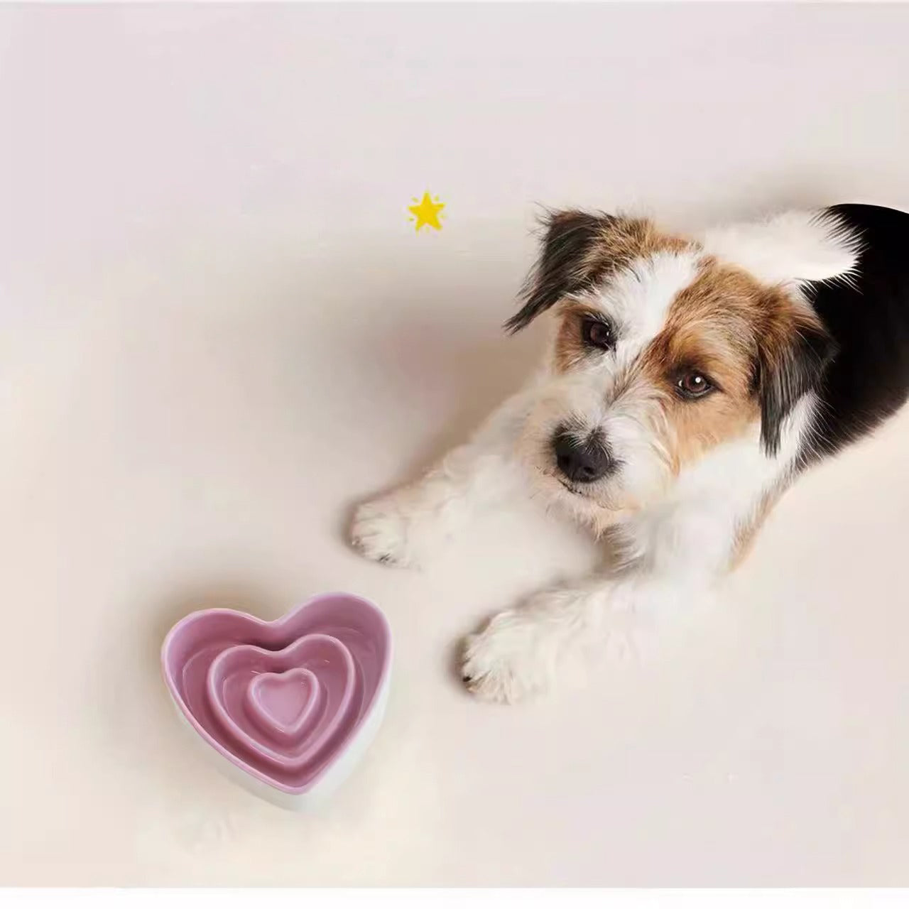 Ceramic Slow Food Bowl For Small & Medium Dogs Anti-choking Food Bowl
